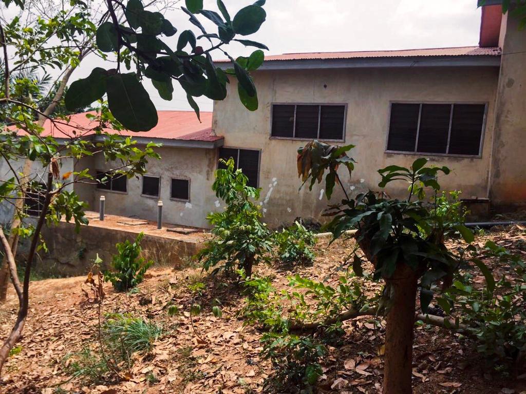 100 x 110 ft ridgy land with building on it for redevelopment